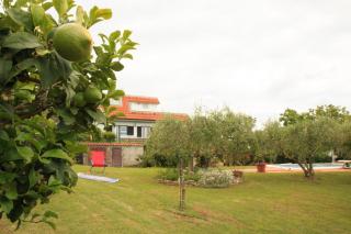 La casa di Iole - Casale la Cogna - 6