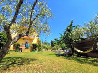 Zako Apartments - Limenaria - 3