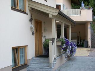 Appartementhaus Karin - Viehhofen - 1