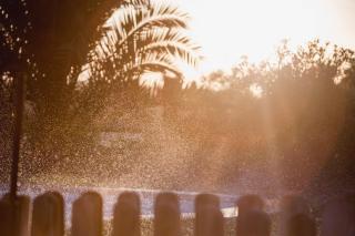 Cortijo La Panadera - 8