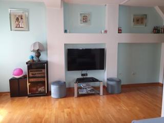 Apartment Resavska - Belgrade - 1