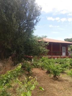 Casa di Diamanto - Porto Rafti - 2