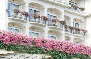 Grand Hotel Bristol - Stresa - 8