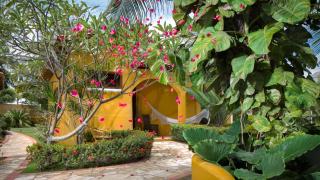 Long Beach - Canoa Quebrada - 9