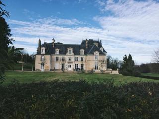 Château d'Ardrée - Saint-Antoine-du-Rocher - 3