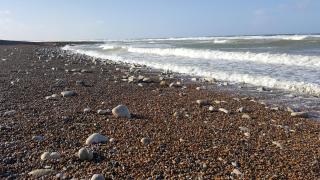 Parvis de la cathédrale de Bayeux vue directe - 9