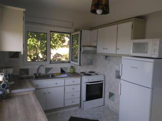 House with fruit trees, olive trees, and sea view. - Vathý - 1