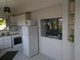 House with fruit trees, olive trees, and sea view. - Vathý - 2