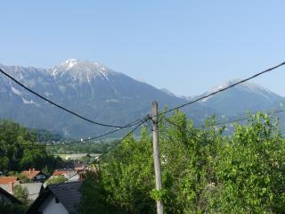 Apartmaji Baron - Bled - 5