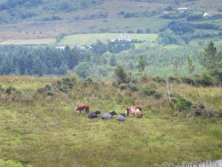 Drumkeeran Holiday Homes - Drumkeeran - 8