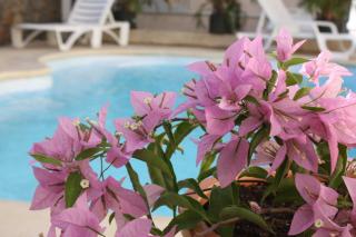 Residence Le Lotus - 0