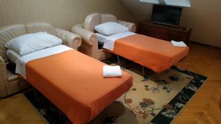 Hotel Vila Ariston - Osijek - 3