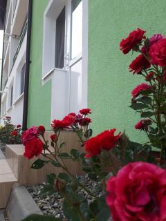 Hunyadi Budget Ciresica - Sibiu - 8