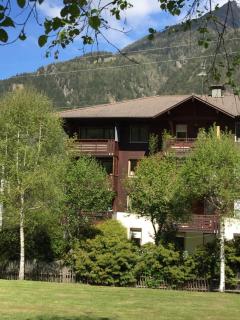 Appartement face au Mont Blanc & Glaciers - Chamonix - 5