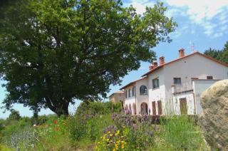 Casa vacanze La quercia del Re - Mercatale - 5