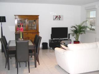 Appart'cosy Lyon Est - Décines-Charpieu - 3