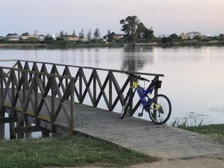 Apartamentos En Deltebre - 1