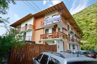 Pension President - Băile Herculane - 9
