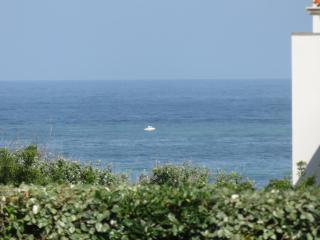 Anglet/Biarritz 300m des plages - Proximité Golf & Phare - 1/4 pers. - Parking privé - Anglet - 5
