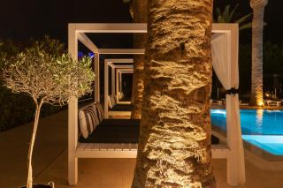 Drossia Palms Hotel and Nisos Beach Suites - Malia - 4