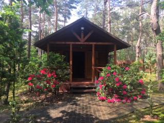 Dworek w lesie - nowy obiekt - Wilga - 7