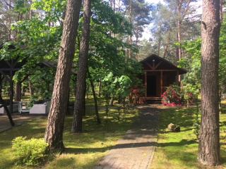 Dworek w lesie - nowy obiekt - Wilga - 8