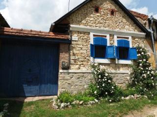 Casa Anca Cheile Nerei - Socolari - 8