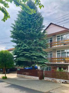 Apartment Pension Rideg Heviz - Hévíz - 9