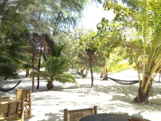 Malibu Beach Bungalows - 5