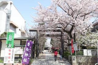 Tokyo Sakura hotel - Tokio - 2