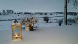 B&B Weids - Elst - 1