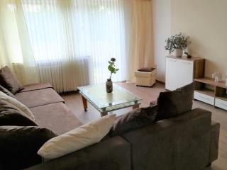 Harz-See-Lodge - Schulenberg im Oberharz - 2