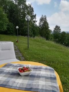 Harz-See-Lodge - Schulenberg im Oberharz - 7