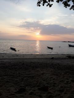 Jungle Hut Bungalows & Hotel - 4