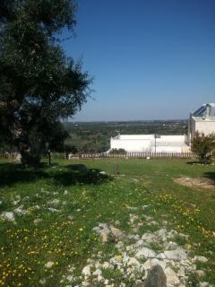 B & B Monte Adamo - Conversano - 2