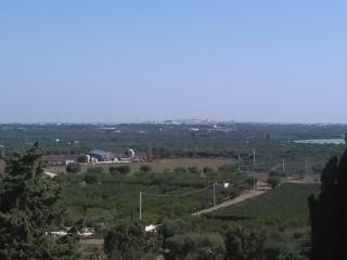 B & B Monte Adamo - 3