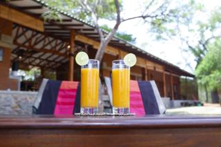 The Ibis - Wilpattu - 1