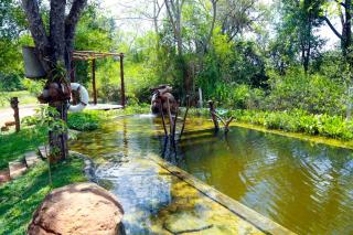 The Ibis - Wilpattu - Puttalam - 4