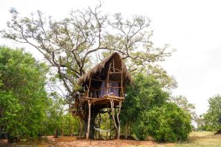 The Ibis - Wilpattu - Puttalam - 6