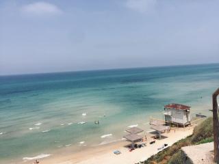 2 BDR Nitza appartment with balkony - Netanya - 4