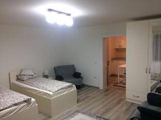 Warm Studio - Sibiu - 1