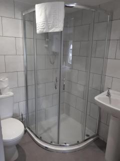 The Swan Hotel - Lydney - 1