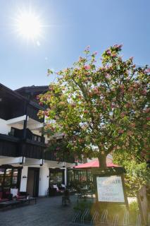Gästehaus Rössler - Brannenburg - 5