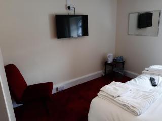 The Swan Hotel - Lydney - 3