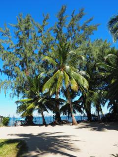 MADIROKELY HOUSE Nosy Be - 7