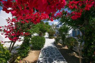 Acrogiali Beachfront Hotel Mykonos - Platis Gialos - 5