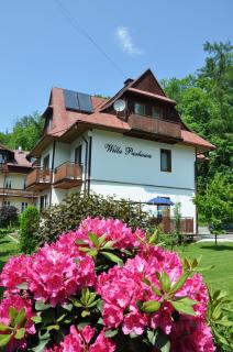Willa Parkowa - Szczawnica - 8
