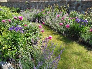 Meždzirnas Country House & SPA - 1