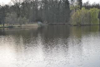 Am Mariental 11 - Hankensbüttel - 5