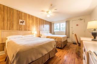 Lake City Motel - Halifax - 5